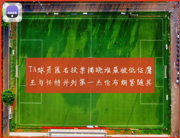 TA球员匿名投票揭晓谁最被低估鹰王与怀特并列第一杰伦布朗紧随其后