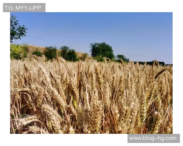 布克谈迈阿密天气变化迅速表示自己并未过于关注阴雨情况