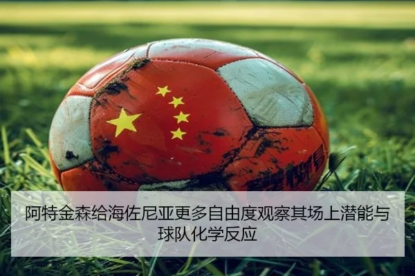 阿特金森给海佐尼亚更多自由度观察其场上潜能与球队化学反应（crownsports）